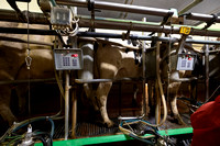 2024_InTheFieldWithJason_dairy_farm_Apr17_0013